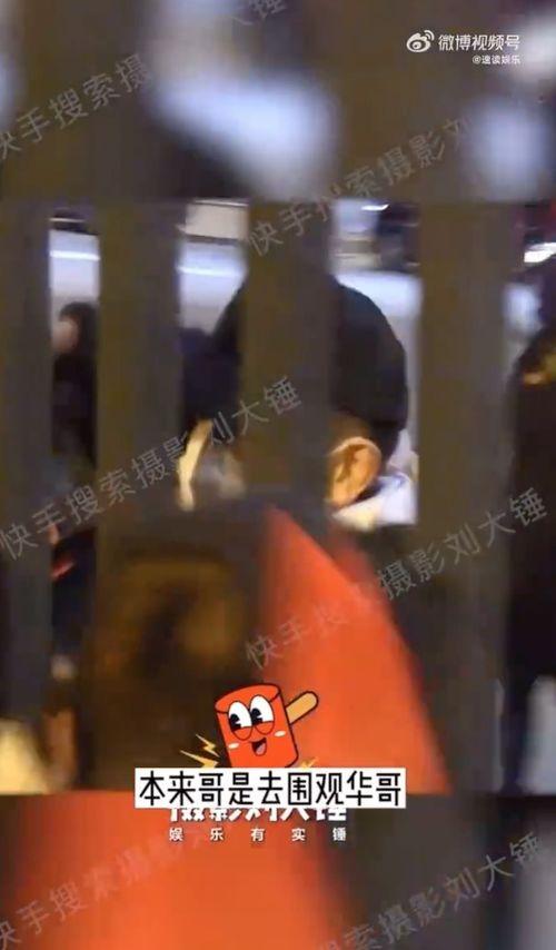 刘德华狗仔爆料视频播放,揭秘娱乐圈幕后真相 第2张 刘德华狗仔爆料视频播放,揭秘娱乐圈幕后真相 第2张