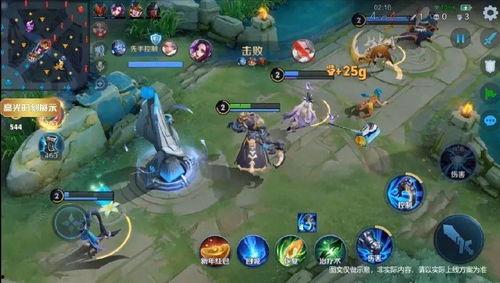 王者皮肤爆料最新胖猫,萌态可掬，趣味横生