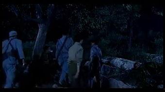 兄弟连美国电视连续剧在线观看,重温二战传奇，在线观看重温历史荣光  第3张